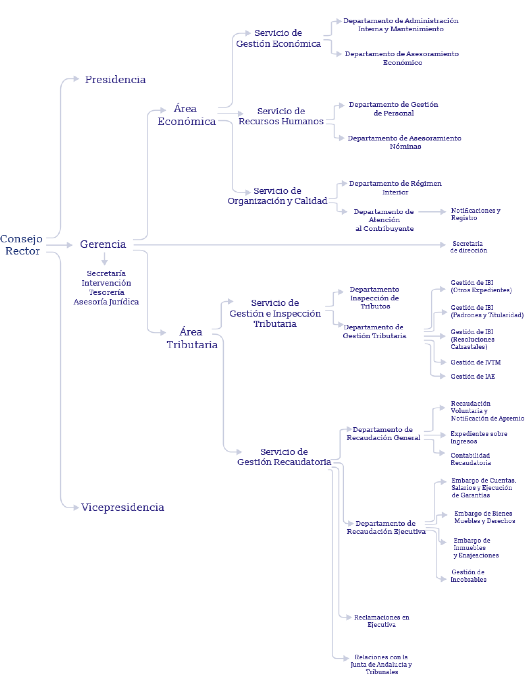 estructuraorganizativa